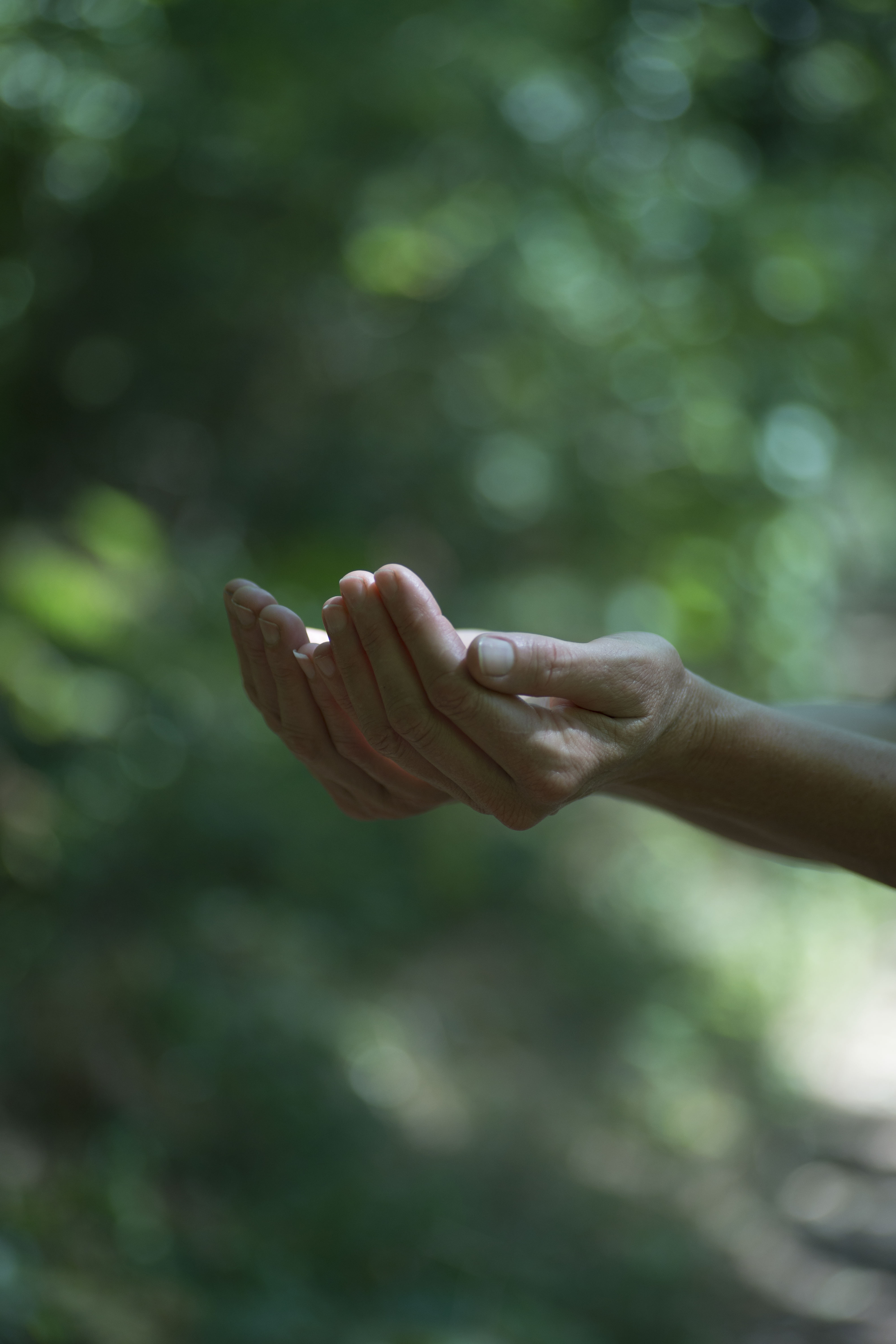 Reiki Distance 1