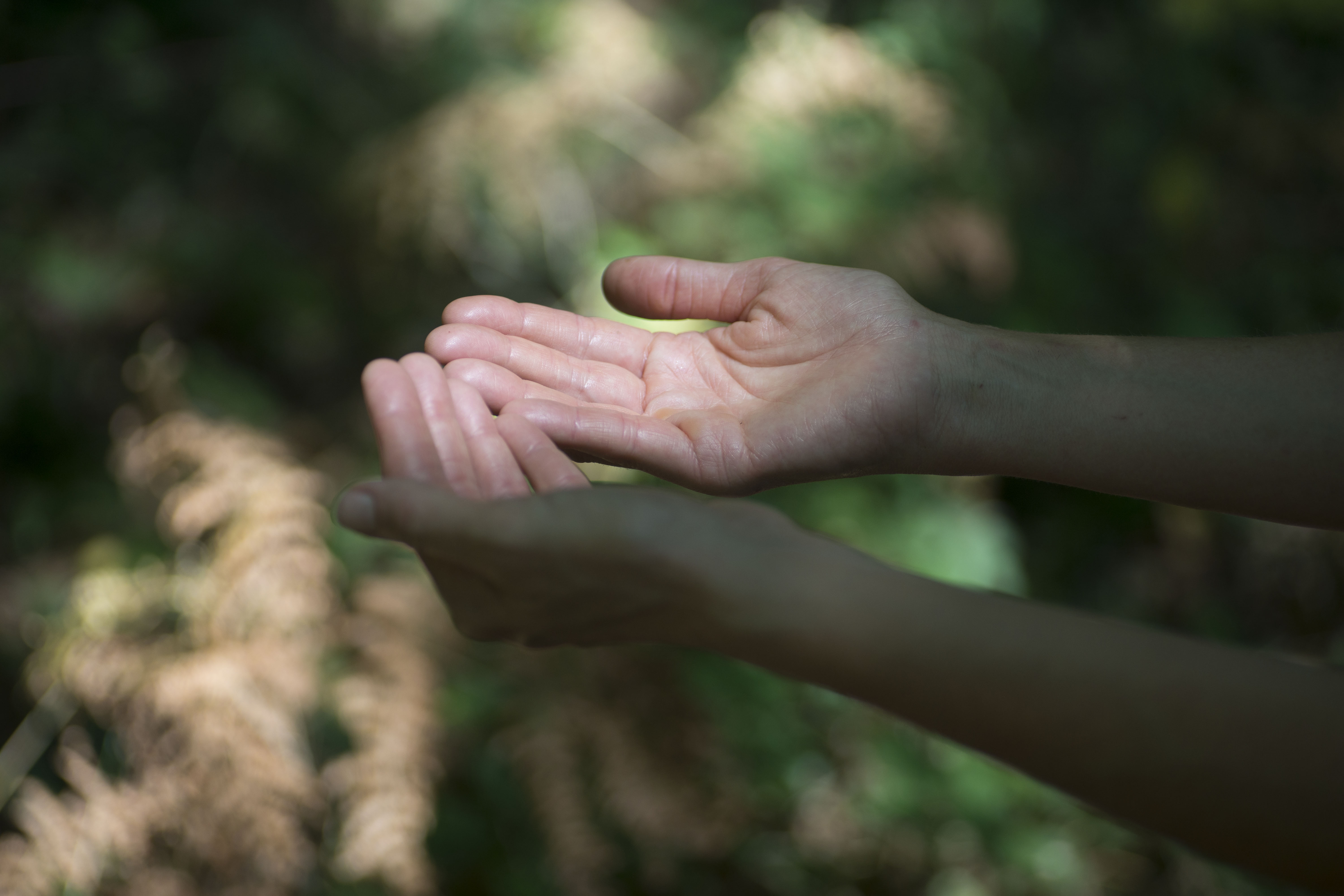 Reiki Distance 3